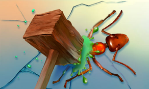 Ant Smasher - FREE