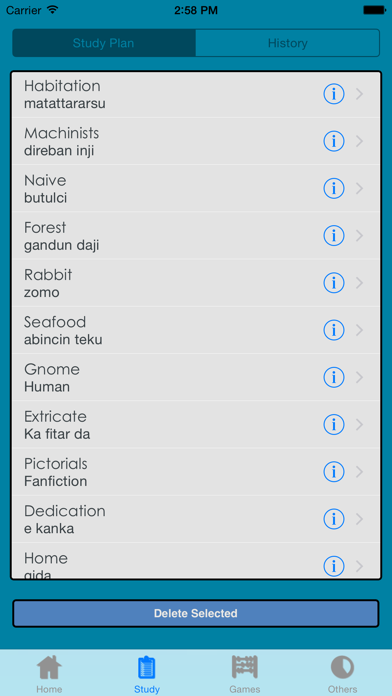 Hausa Dictionary poster