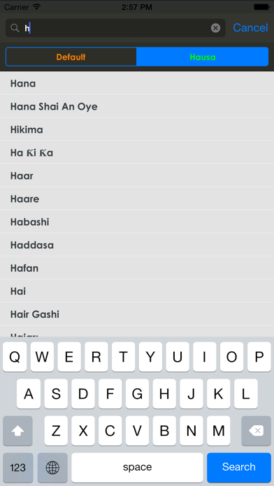 Hausa Dictionary poster