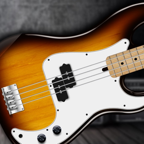 REAL BASS Electric bass guitar