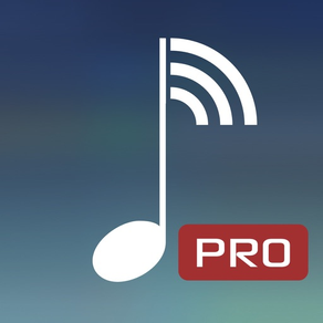 MyAudioStream HD Pro UPnP audio player and streamer for iPad