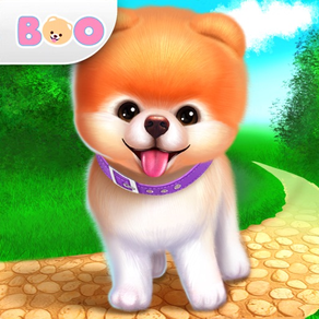Boo — O cachorro mais lindo