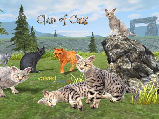 Clan Of Cats poster