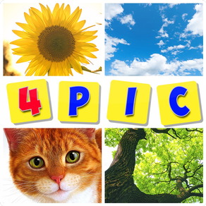 Guess The Word : 4 Pics Quiz