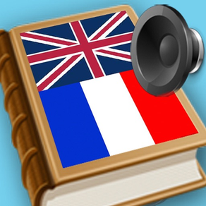 Français Anglais meilleur dictionnaire