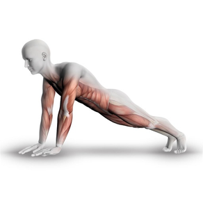 Plank - 30 Days of Challenge