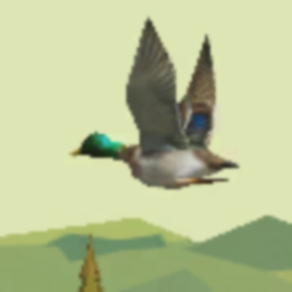 duck hunter simulator spiele