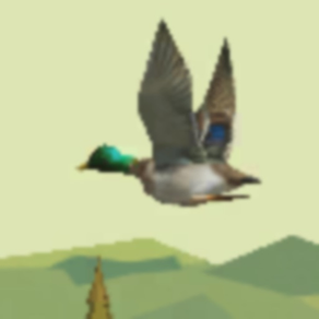 Duck Hunter Hunting Games