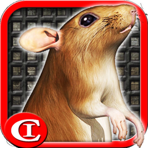 Sewer Rat Run 3D Free