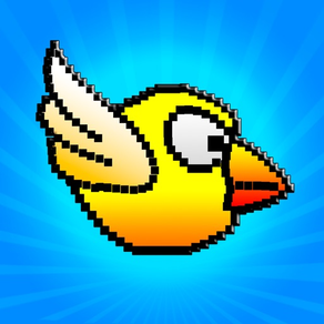 Game of Birds: Angry adventure