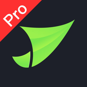 No.1 VPN Pro