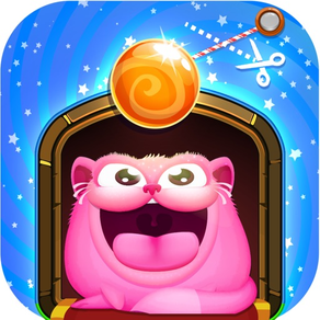 Miss Hollywood Fever: The Cat Adventure Funny Game