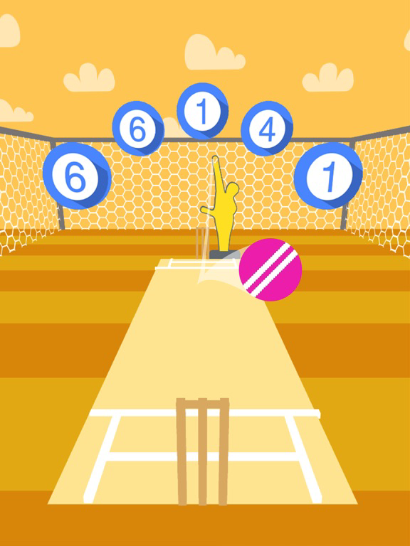 Cricket Practice poster