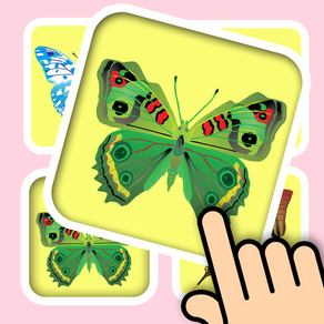 3D Memo match Butterfly Cards - Training your brain with pair matching games