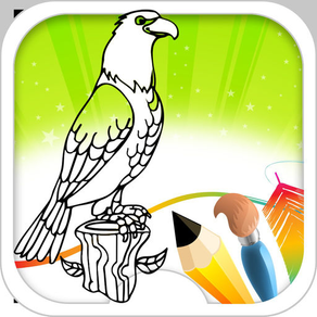 Bird Coloring Book