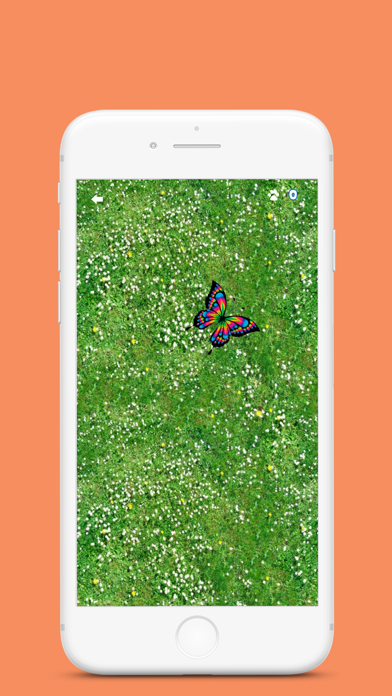Laser Pointer for Cat poster