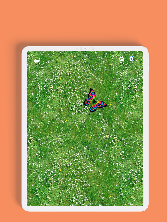 Laser Pointer for Cat poster