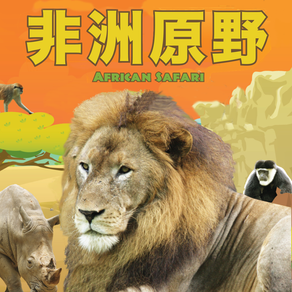 非洲原野 African Safari