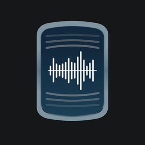 Voice to Text Pro - Transcribe