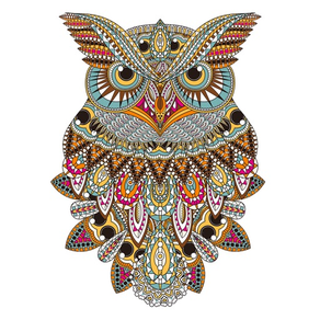 Owl Floral Coloring Book For Adult Relaxation Game