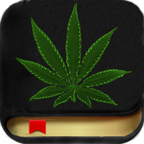Marijuana Handbook - The Ultimate Medical Cannabis Guide With The Best of Edible, Ganja Strains, Weed Facts, Bud Slang and More!
