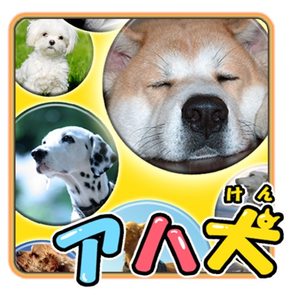 Brain Training - Aha dog picture book