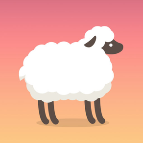 Over the Clouds : Sheep