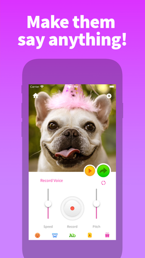 おしゃべりペット：犬や猫の面白動画メーカー・Pet写真加工