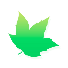 Maple VPN: Unlimited VPN Proxy