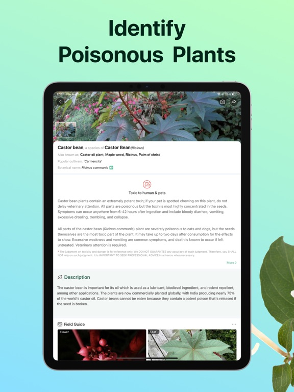 PictureThis - Plant Identifier poster