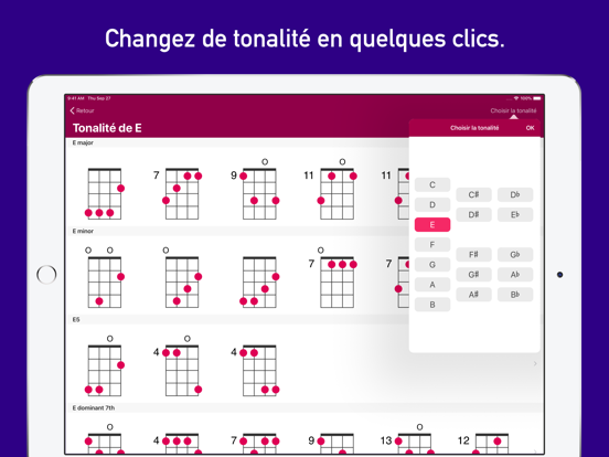 Accords UkeLib Pro Affiche