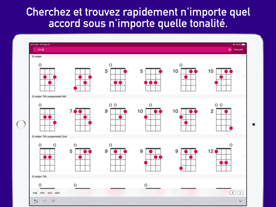 Accords UkeLib Pro Affiche