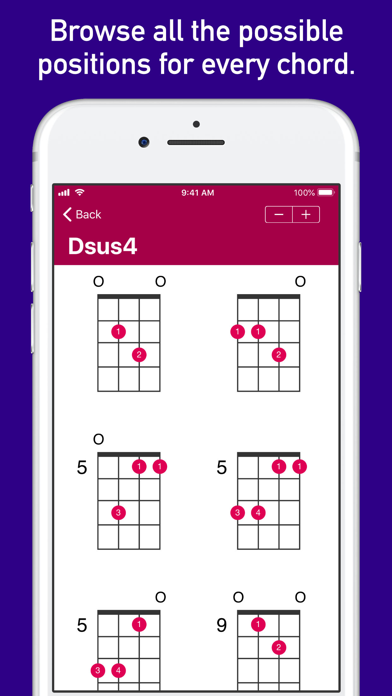 UkeLib Chords Pro poster