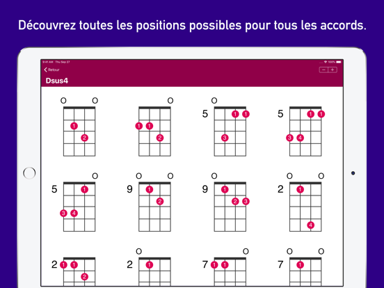 Accords UkeLib Pro Affiche