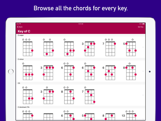UkeLib Chords Pro poster