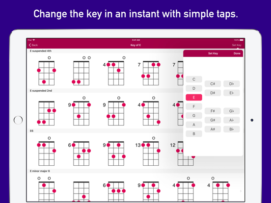 UkeLib Chords Pro poster