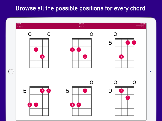 UkeLib Chords Pro poster