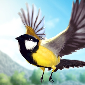 飛翔的小鳥3D - 飛揚模擬器