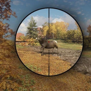 Forest Animal Shooting Sim