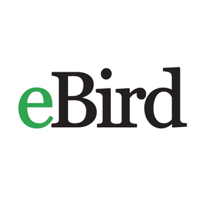 eBird