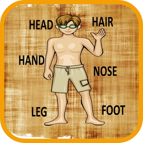 Learn Body Parts in English