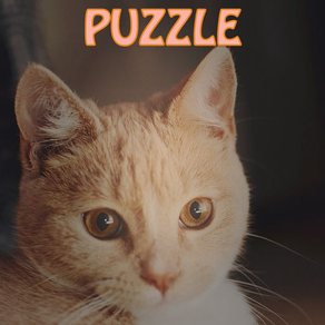 Merged Hex _ Cute cats party and simple type of the 2048