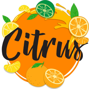 Citrus Ninja:Fruit line Puzzle