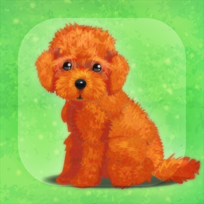 My Dog Life -Toy Poodle Edition-