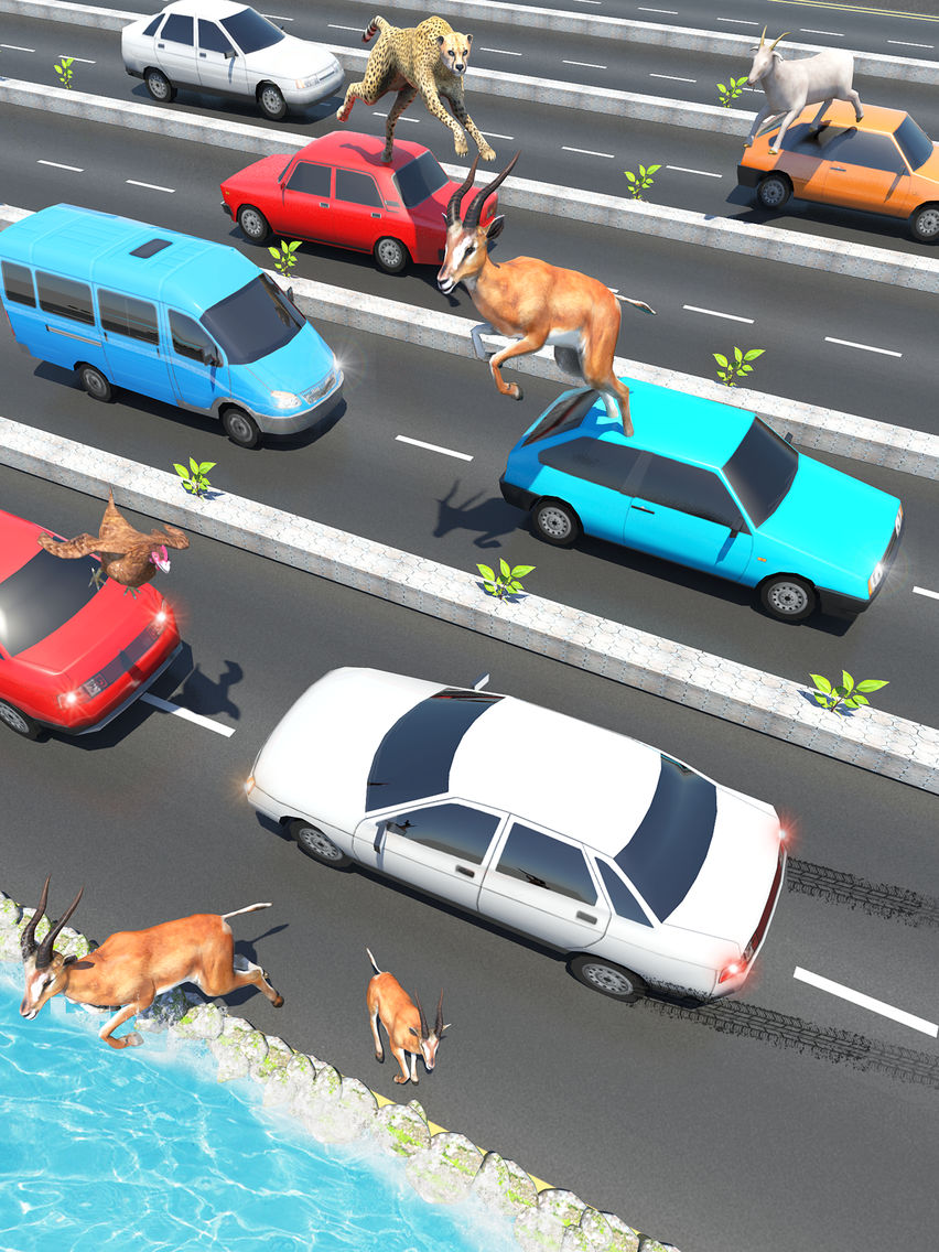 Animal Pet Traffic Crossing poster