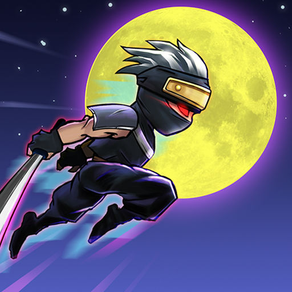 Ninja Shadow Fight