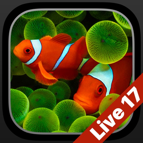 Aquarium Live Hintergründe