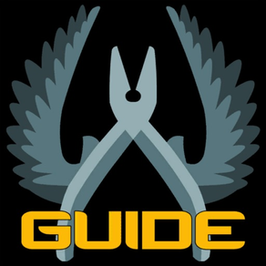 Pro Guide for CS:GO