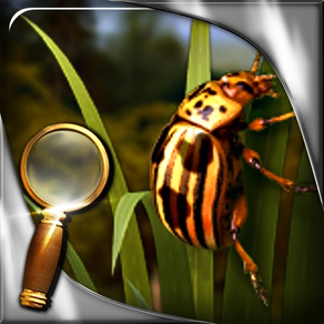 Treasure Island - The Golden Bug - Extended Edition - Uma Aventura de Objetos Escondidos