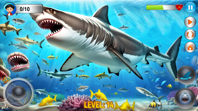 Angry Shark Simulator Games 3d poster